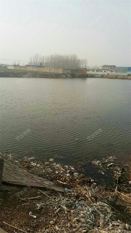 坊上南岭汪