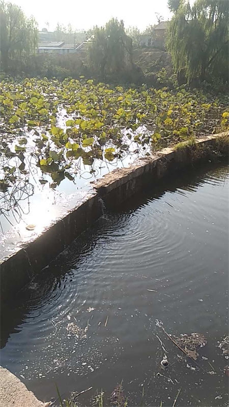 岔河村小河