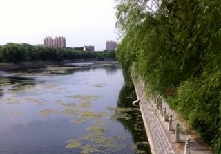 埝头河