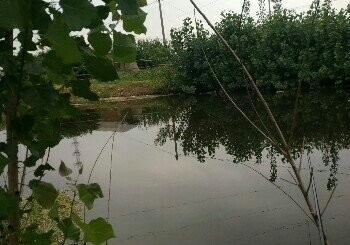 齐庄子河
