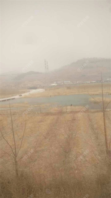 潘庄大桥